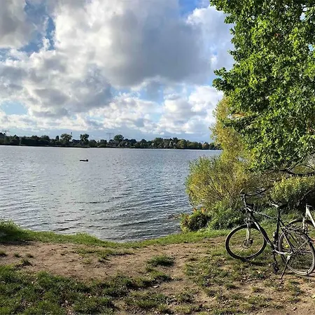 Lavendel * Waren (Müritz)