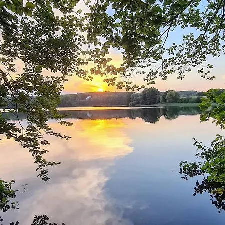 Lavendel Waren (Müritz)
